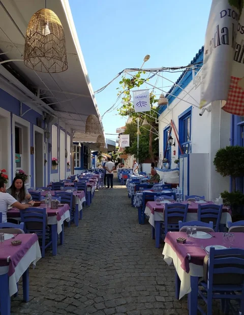 Бозджаада: Dionysos Otel & Restoran & Ada Kahvaltı