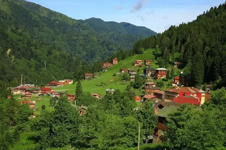 Чамлыхемшин: Zafran Otel