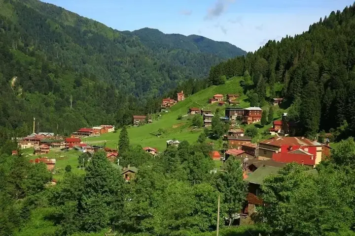 Чамлыхемшин: Zafran Otel