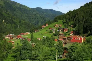 Чамлыхемшин: Zafran Otel