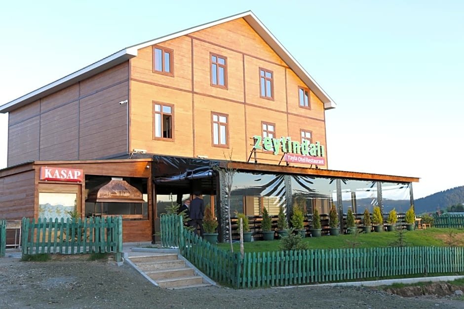 Трабзон: Zeytindalı Yayla Hotel