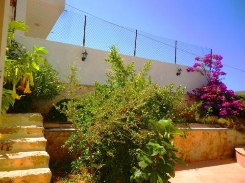 Калкан: Apart Villa Asoa