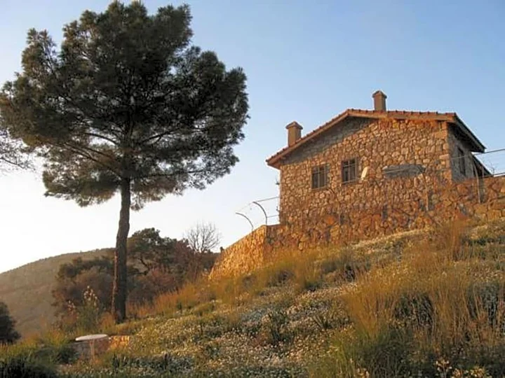 Даламан: Palm House Dalyan