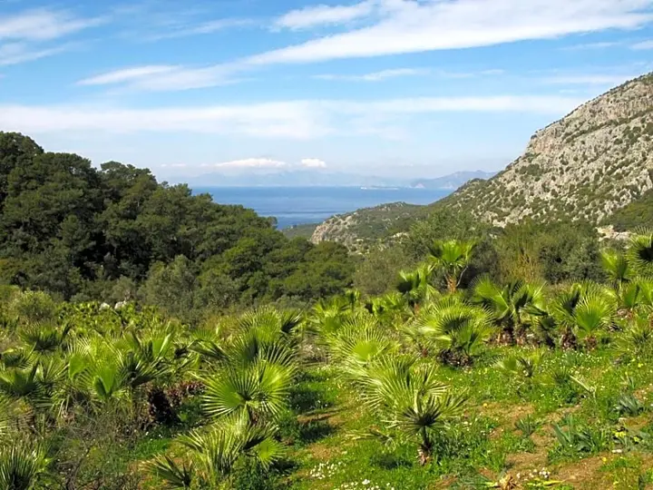Даламан: Palm House Dalyan