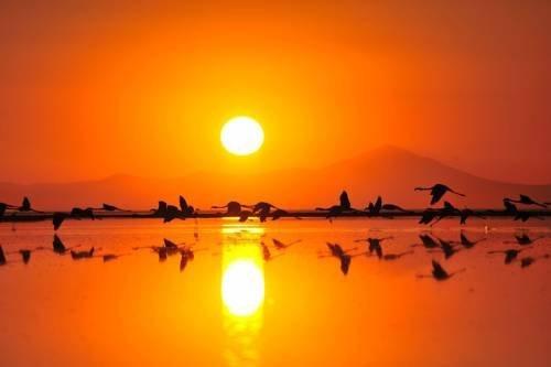 Дальян: Yeni Adet Organic Hotel & Sun Dalyan