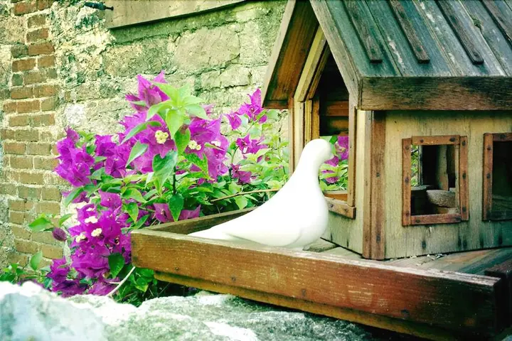 Айвалык: Florina House