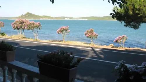 Айвалык: Ayvalik Dostlar Pansiyon