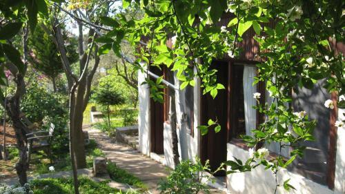 Айвалык: Ayvalik Dostlar Pansiyon