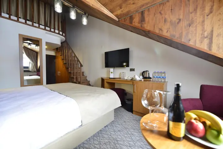 Сарыкамыш: Sarikamis Habitat Hotel