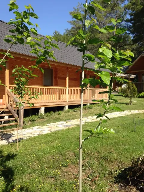 Кемер: Отель Olymposvillage