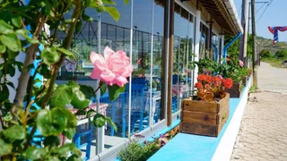 Зейтинликой: Örnek Motel