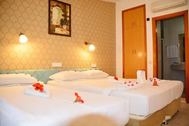 Кемер: Viking Nona Beach hotel