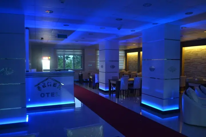 Сакарья: Sener Hotel