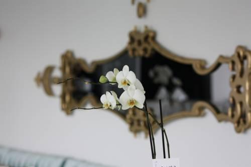 Зонгулдак: Bab i Zer Hotel