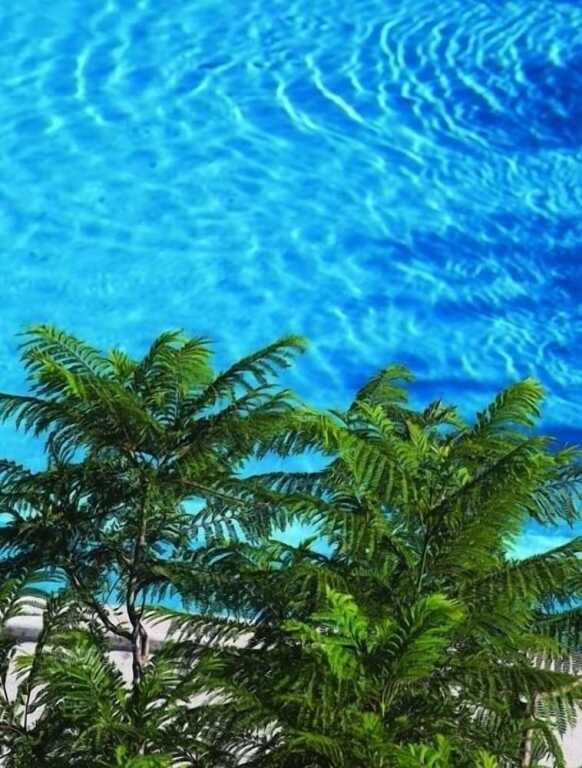 Кумлюбюк: Zeus Kumlubük Hotel