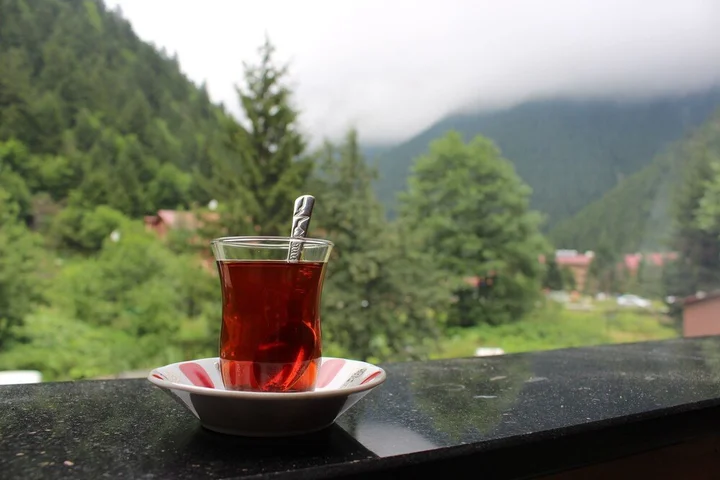 Узунгёль: Uzungol Selale Hotel