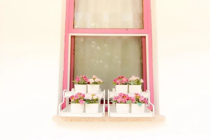 Акьяка: Kiraz Cicegi Butik Akyaka