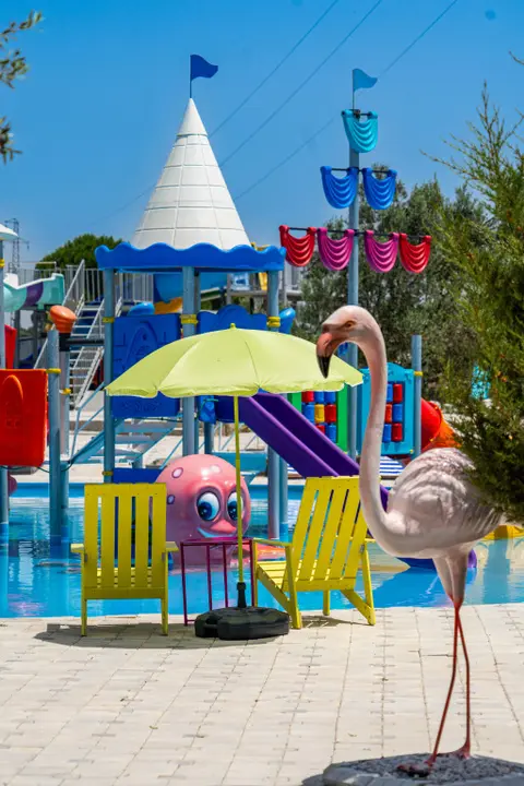 Айвалык: Simlarda Aquapark Otel