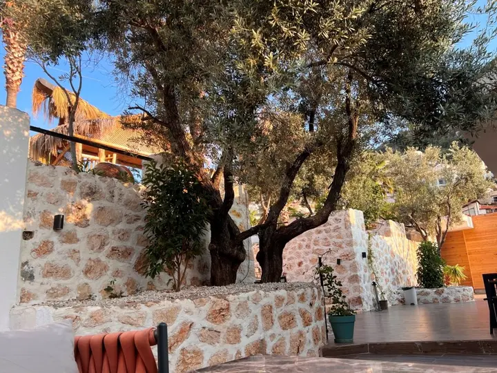 Калкан: Отель Kalkan Beach Park