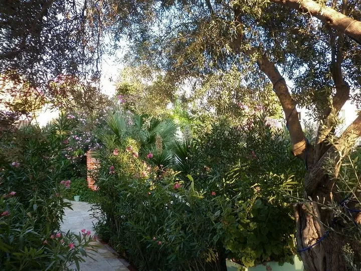 Бодрум: Anadolu Hotel Bodrum