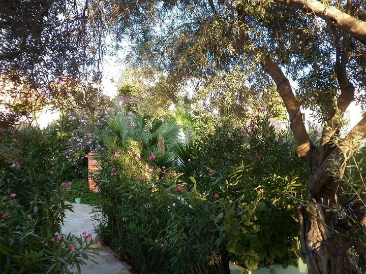 Бодрум: Anadolu Hotel Bodrum