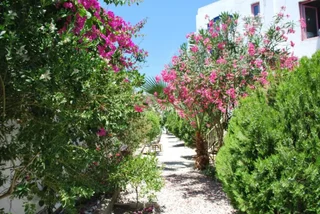 Бодрум: Serpina Hotel - Adults Only