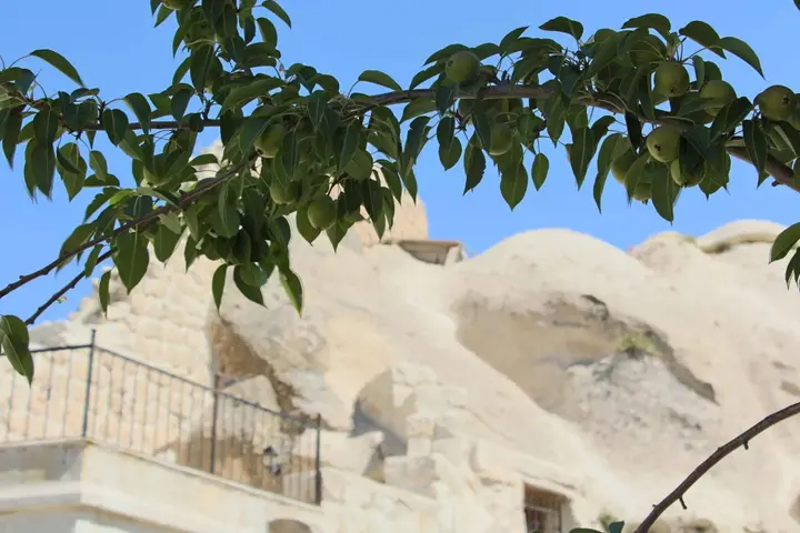 Гёреме: Anatolian Cave Hotel