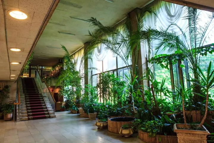 Звенигород: Zvenigorodskiy Sanatorium