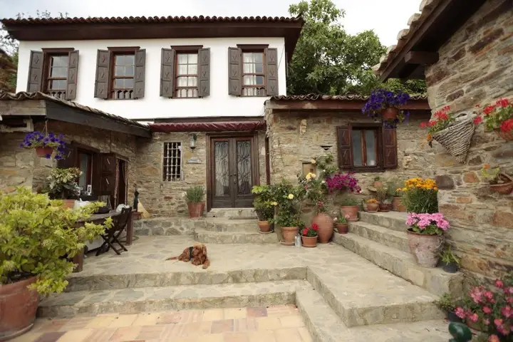 Terrace Houses Sirince - Fig, Olive and Grapevine — фото 3