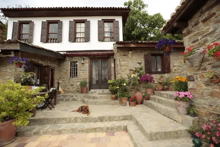 Шириндже: Terrace Houses Sirince - Fig, Olive and Grapevine
