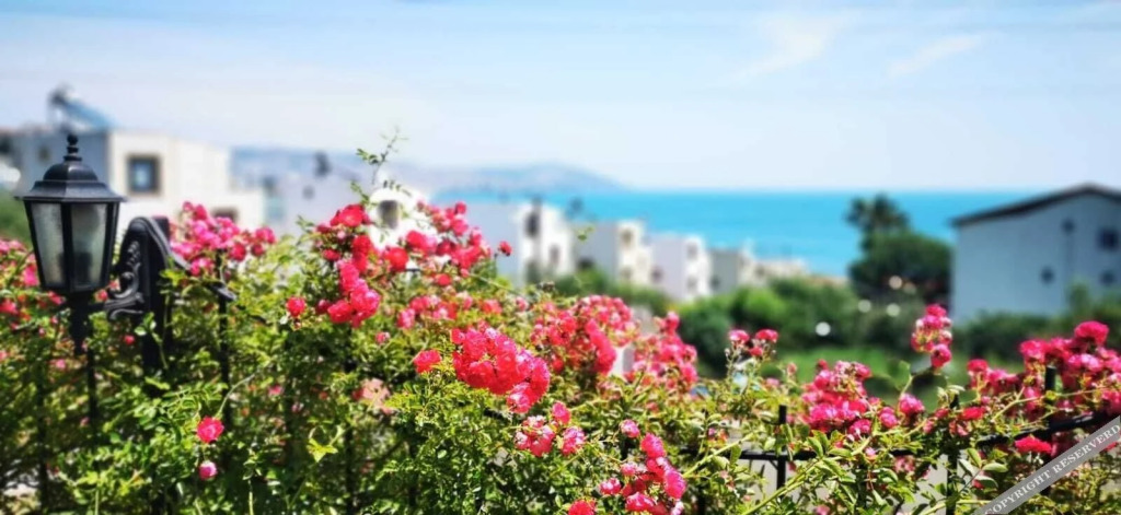 Синоп: No57 Suites