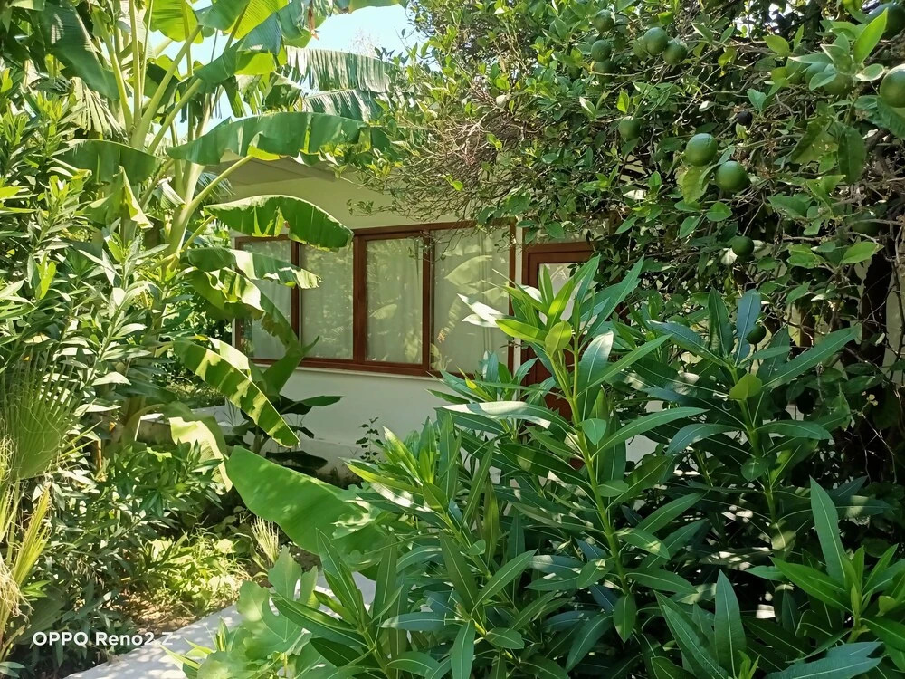 Кемер: Kiris Garden Hotel