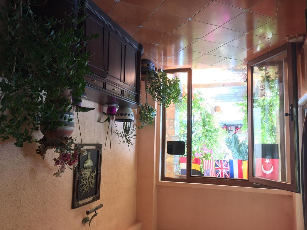 Тургутрейс: Asterina Hotel