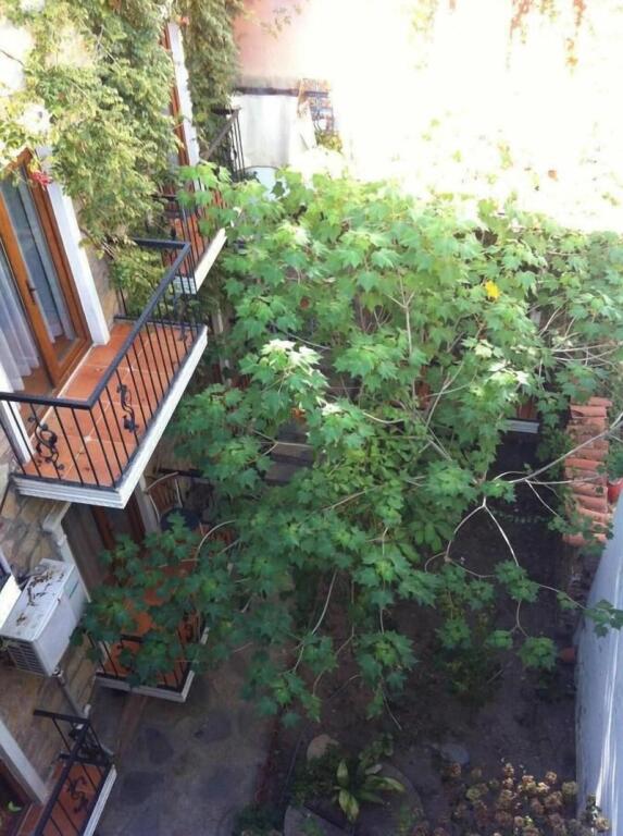 Тургутрейс: Asterina Hotel
