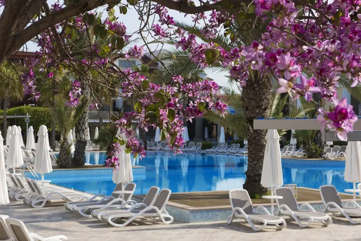 Манавгат: Barut B Suites