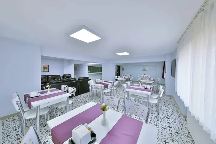 Сакарья: Palmada Hotel