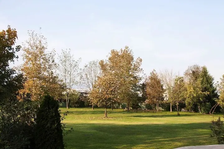 Дюздже: Konsopa Otel