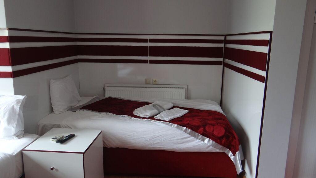 Бурса: Arakonak Termal Hotel