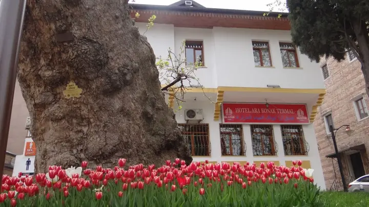 Бурса: Arakonak Termal Hotel