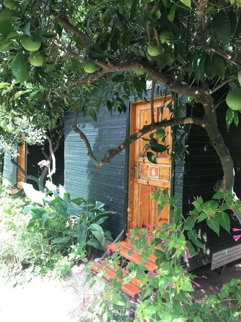 Кумлуджа: Olympos Tatilya Pansiyon