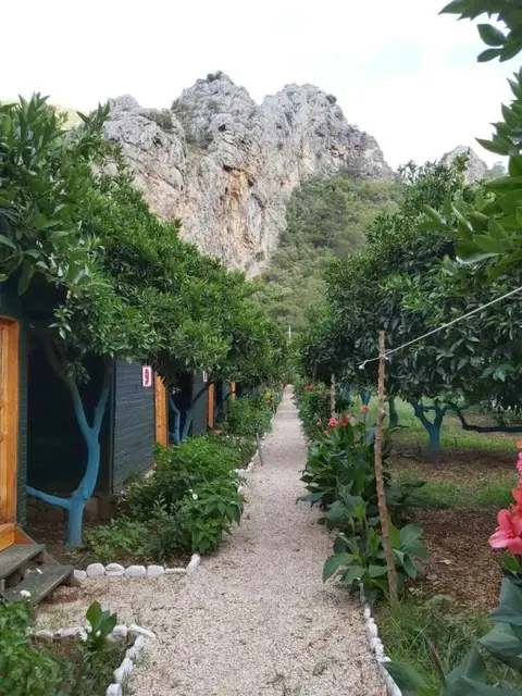 Кумлуджа: Olympos Tatilya Pansiyon