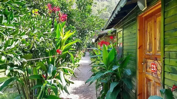 Кумлуджа: Olympos Tatilya Pansiyon