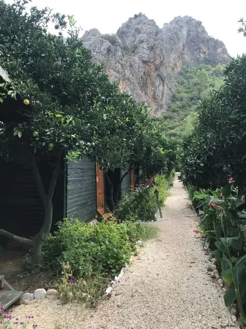 Кумлуджа: Olympos Tatilya Pansiyon