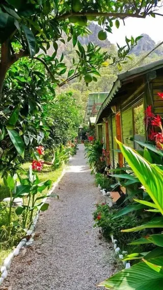 Кумлуджа: Olympos Tatilya Pansiyon
