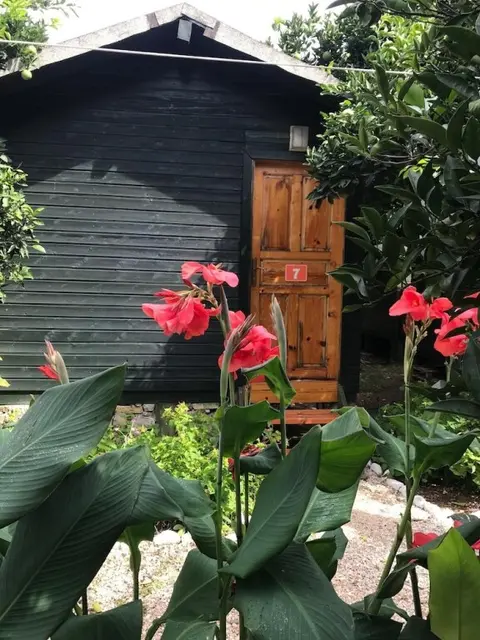 Кумлуджа: Olympos Tatilya Pansiyon