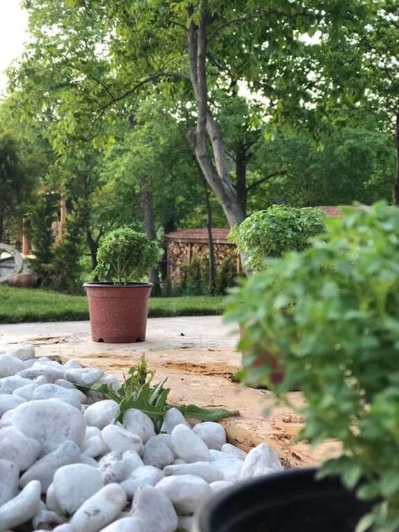 Сафранболу: Omerbeyoglu Konak Boutique Hotel