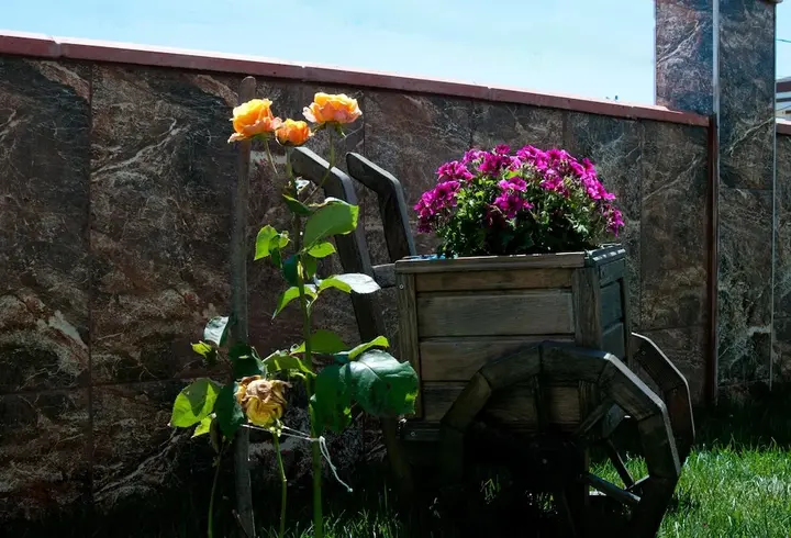Сайл: Defne Hotel