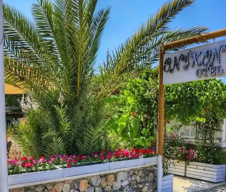 Тюркбюкю: Onikon Hotel Turkbuku