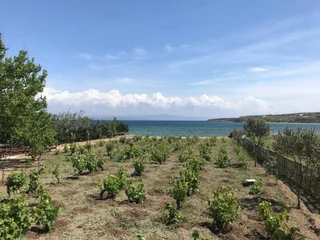 Бозджаада: Arsipel Hotel