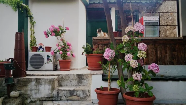 Кушадасы: Garden Palace Boutique Hotel